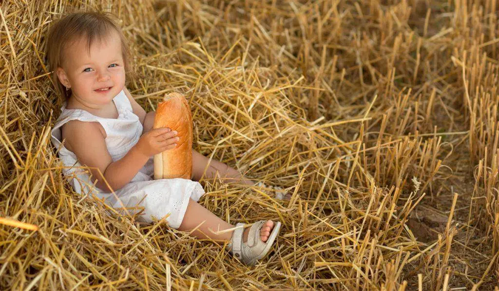 Bienestar y salud: Niños a comer Pan: conozca los beneficios